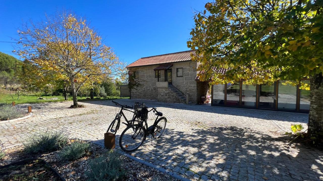 Casas Do Pinheiro Grande Villa Fornos de Algodres Exteriör bild