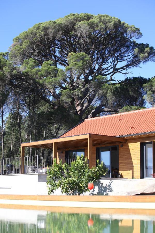 Casas Do Pinheiro Grande Villa Fornos de Algodres Exteriör bild